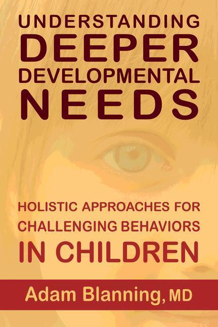 Cover: 9781584209508 | Understanding Deeper Developmental Needs: Holistic Approaches for...