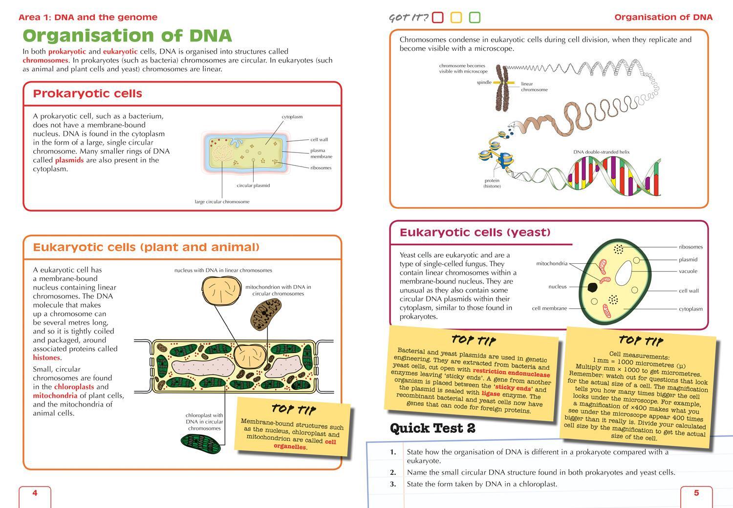 Bild: 9780008365288 | Higher Biology | Preparation and Support for Teacher Assessment | Buch