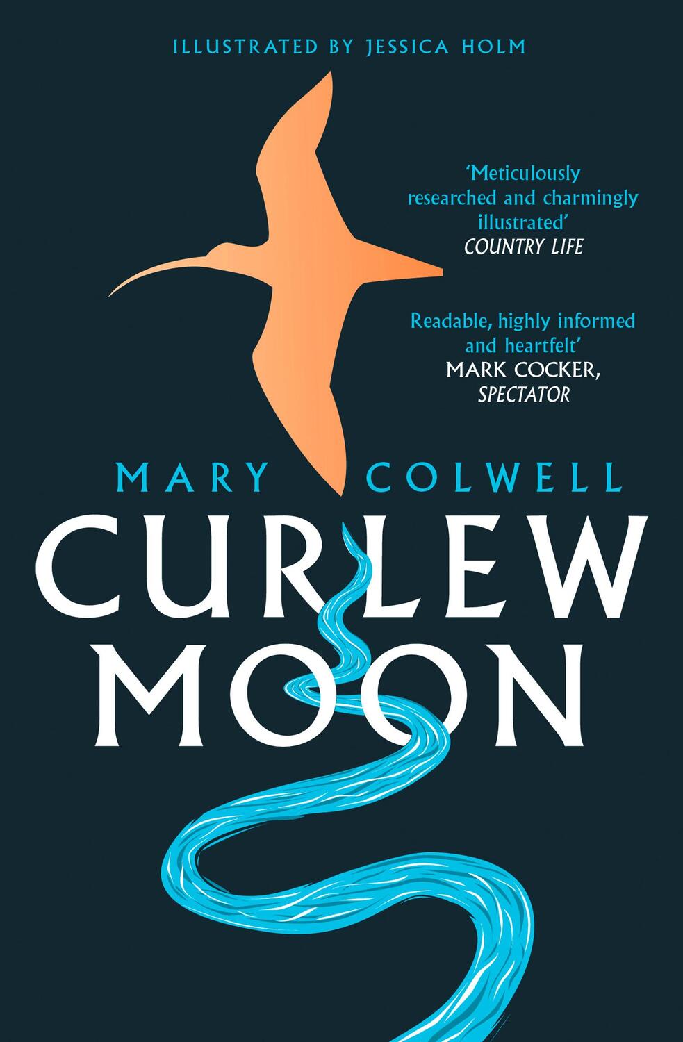 Cover: 9780008241070 | Curlew Moon | Mary Colwell | Taschenbuch | Kartoniert / Broschiert