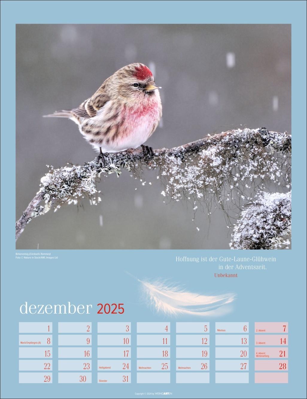 Bild: 9783839900710 | Heimische Vögel Kalender 2025 | Kalender | Spiralbindung | 14 S.