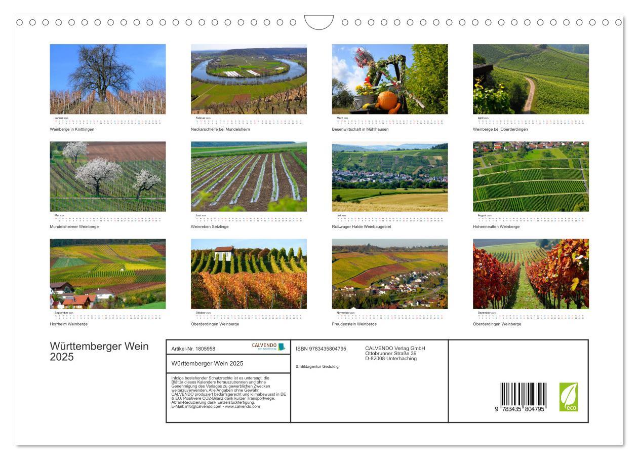 Bild: 9783435804795 | Württemberger Wein 2025 (Wandkalender 2025 DIN A3 quer), CALVENDO...