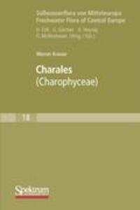 Cover: 9783827419132 | Süßwasserflora von Mitteleuropa, Bd. 18: Charales | Charophyceae