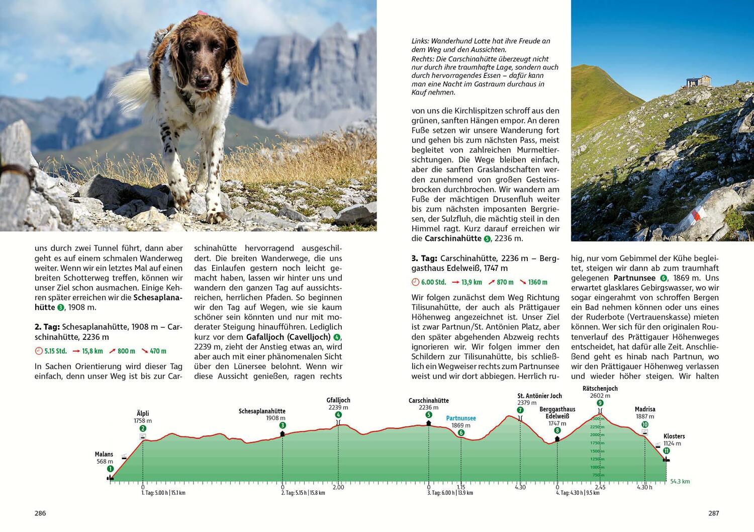 Bild: 9783763333158 | Hüttentouren mit Hund Alpen | Romy Robst | Taschenbuch | 328 S. | 2023