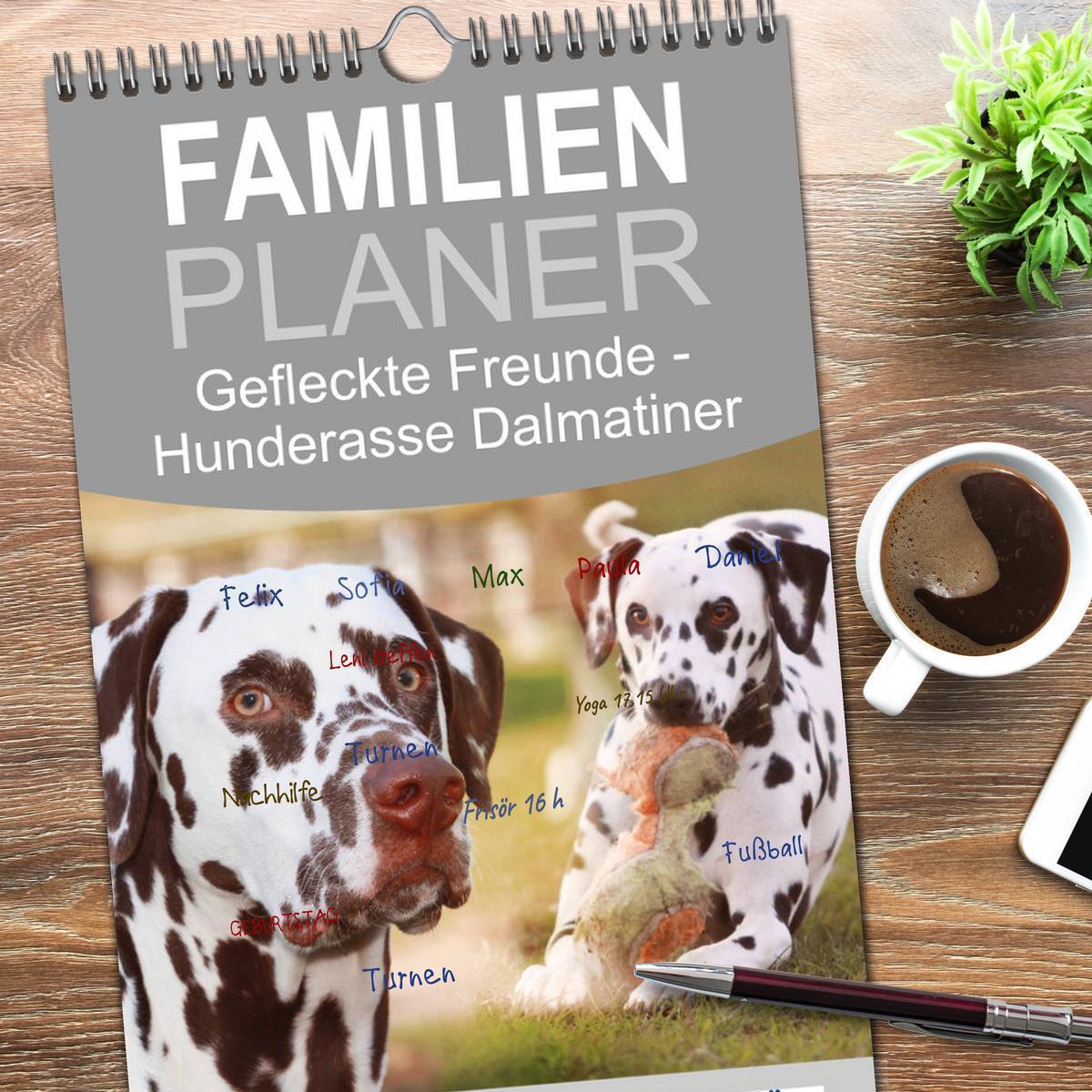 Bild: 9783457114124 | Familienplaner 2025 - Gefleckte Freunde - Hunderasse Dalmatiner mit...