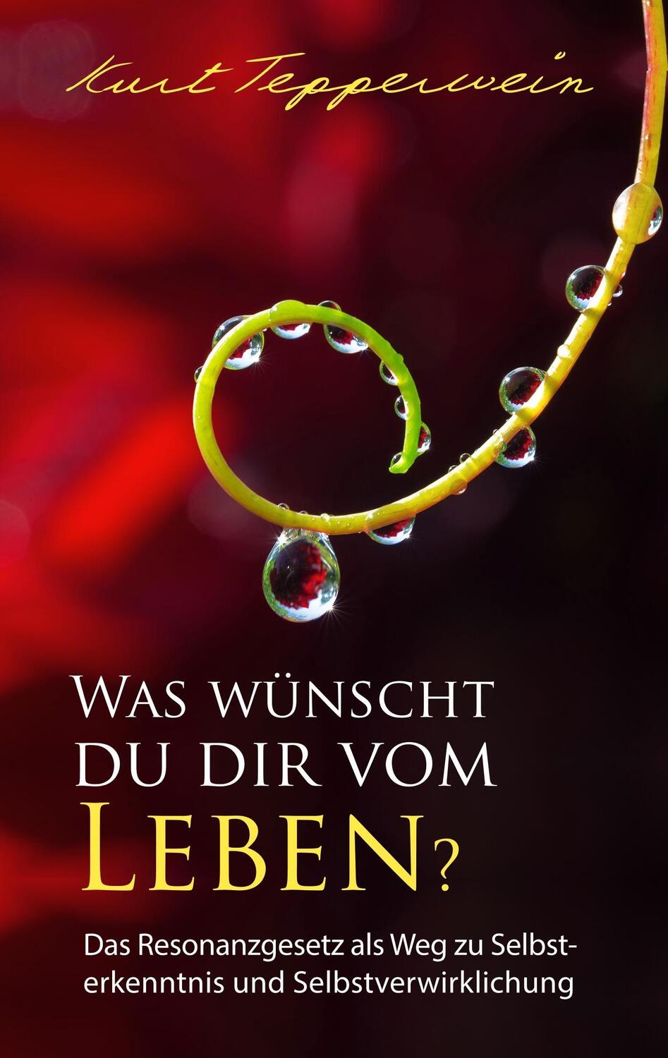 Cover: 9783743127371 | Was wünscht du dir vom Leben? | Kurt Tepperwein | Taschenbuch | 324 S.