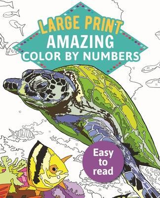Cover: 9781789500516 | Amazing Color by Numbers Large Print | Arcturus Publishing Limited