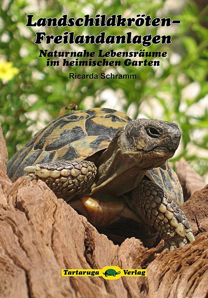 Cover: 9783000460555 | Landschildkröten-Freilandanlagen | Ricarda Schramm | Taschenbuch