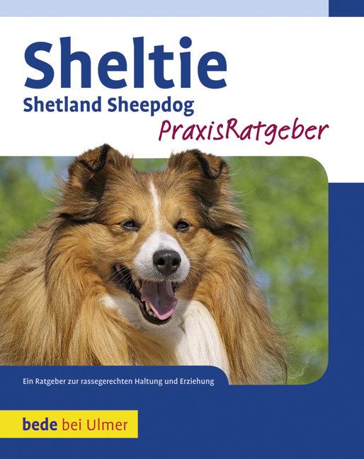 Cover: 9783800167883 | Sheltie | Shetland Sheppdog | Charlotte Schwartz | Buch | 158 S.