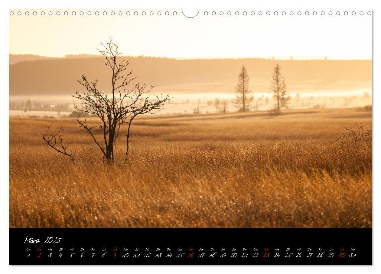 Bild: 9783435518722 | Hochmoor Hohes Venn (Wandkalender 2025 DIN A3 quer), CALVENDO...