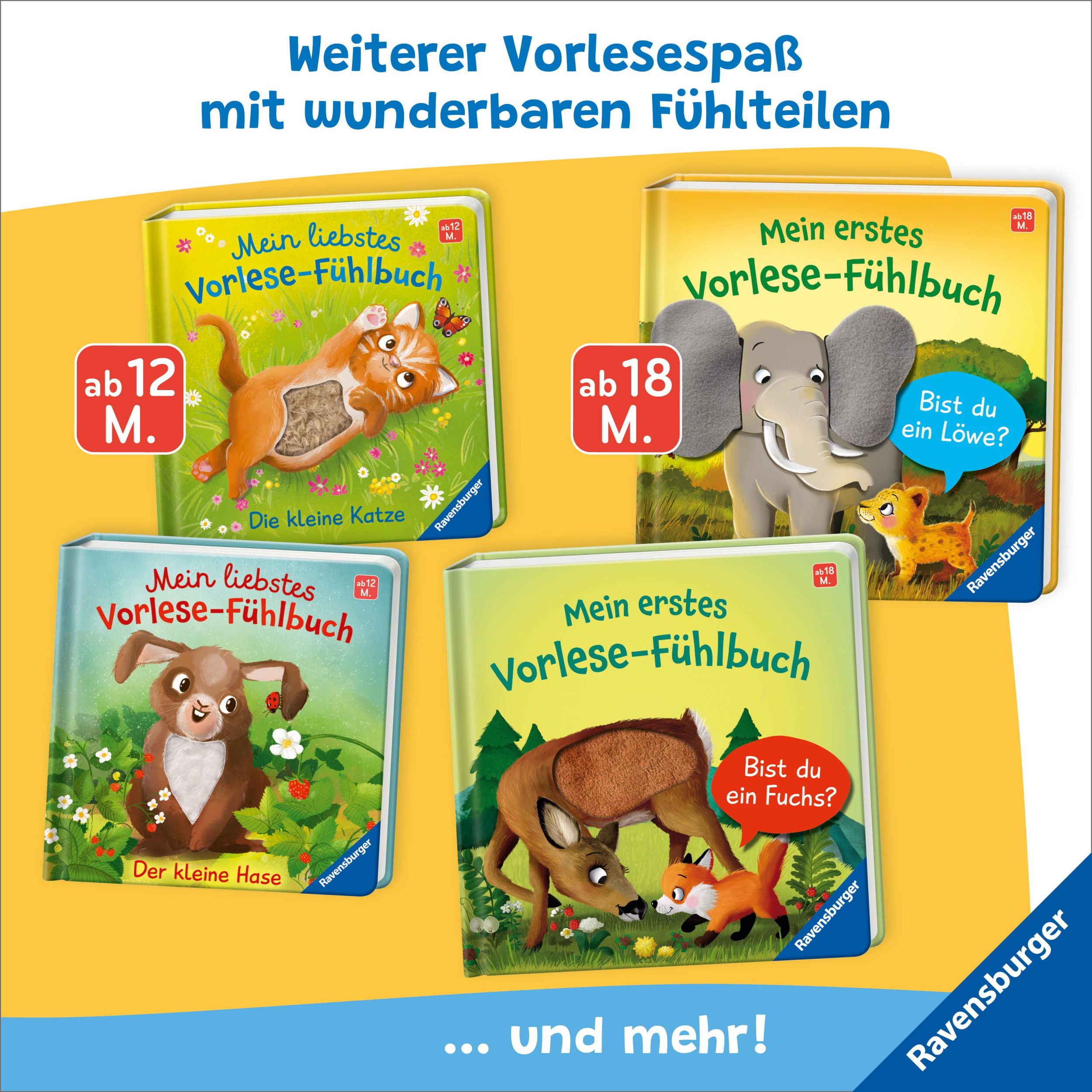 Bild: 9783473420698 | Mein liebstes Vorlese-Fühlbuch - Der kleine Hase | Maria Höck | Buch