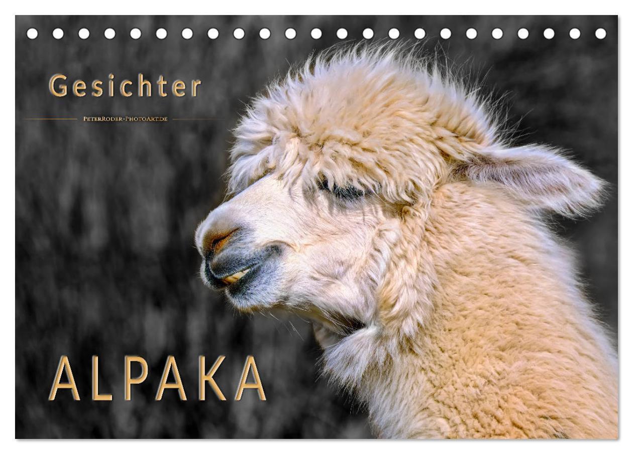 Cover: 9783675752771 | Alpaka Gesichter (Tischkalender 2024 DIN A5 quer), CALVENDO...