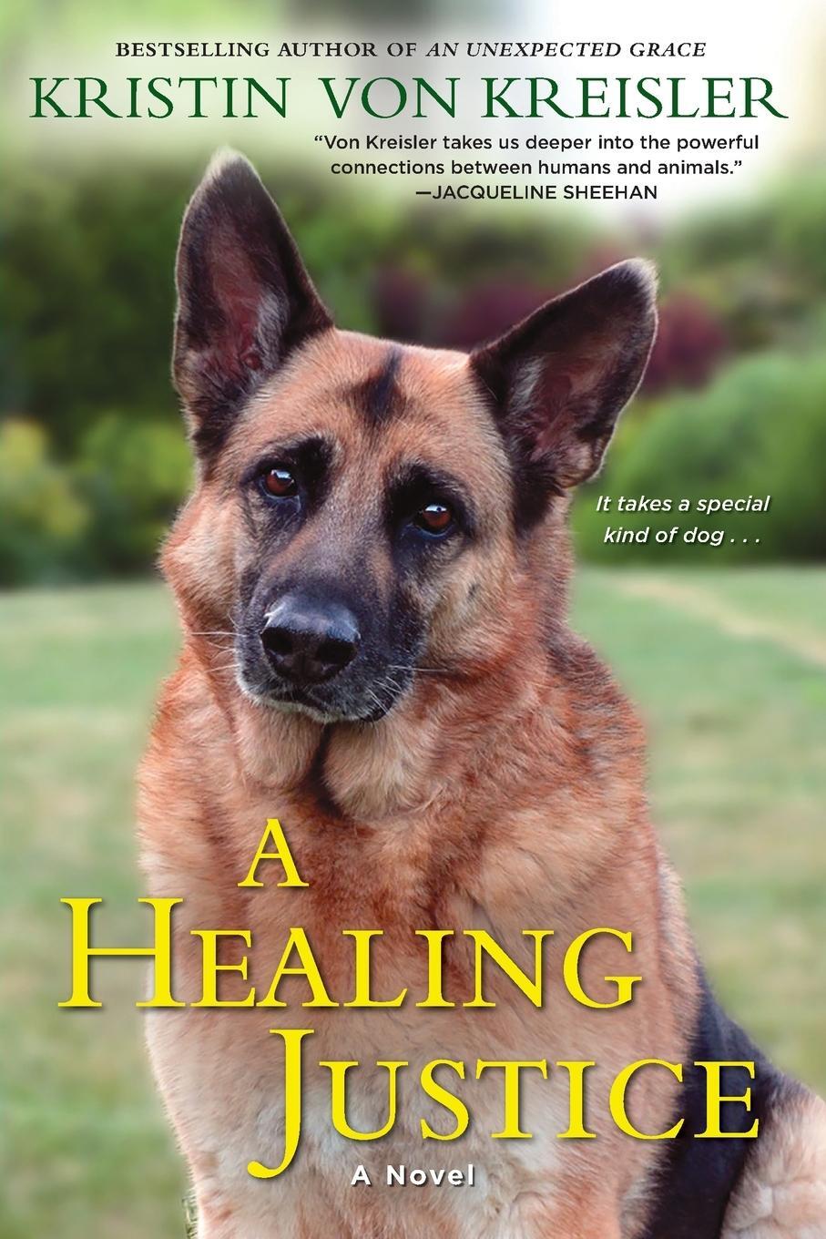 Cover: 9781496700452 | A Healing Justice | Kristin Von Kreisler | Taschenbuch | Paperback