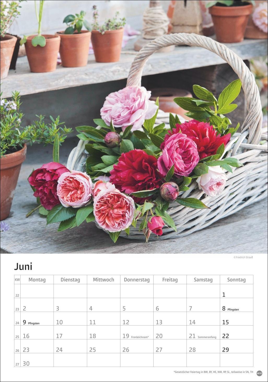 Bild: 9783756405596 | Rosenpracht Kalender 2025 | Heye | Kalender | Spiralbindung | 13 S.