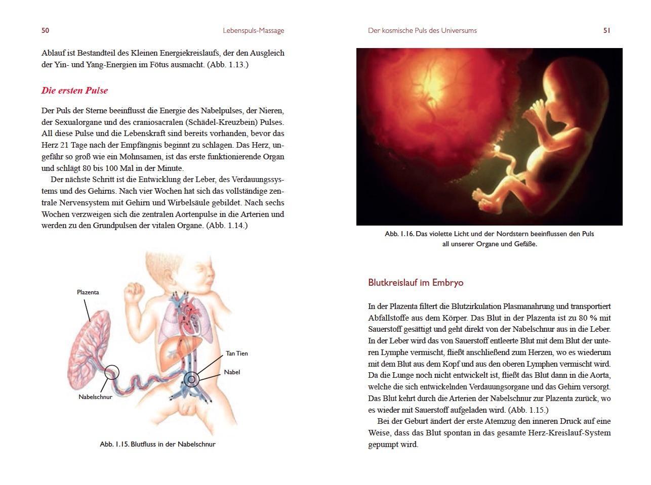 Bild: 9783954472321 | Lebenspuls Massage | Mantak Chia | Taschenbuch | 314 S. | Deutsch