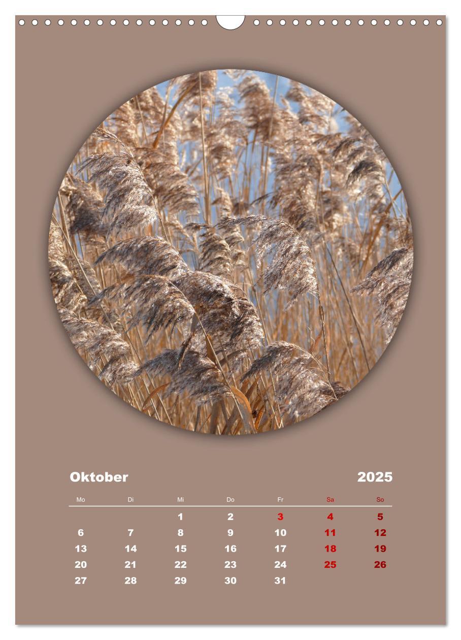 Bild: 9783435897186 | Rundherum Natur (Wandkalender 2025 DIN A3 hoch), CALVENDO...