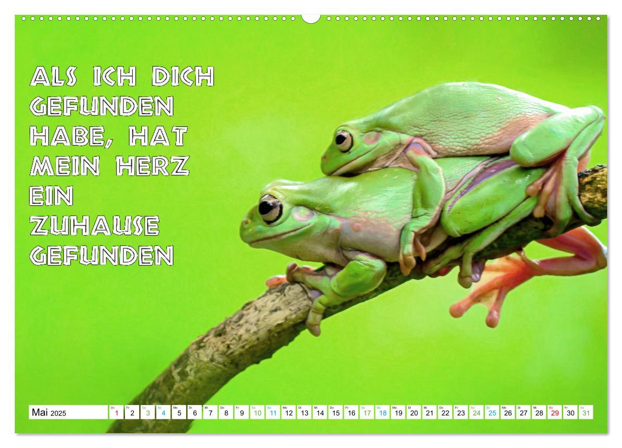 Bild: 9783383915772 | Frosch quakt Sprüche (Wandkalender 2025 DIN A2 quer), CALVENDO...