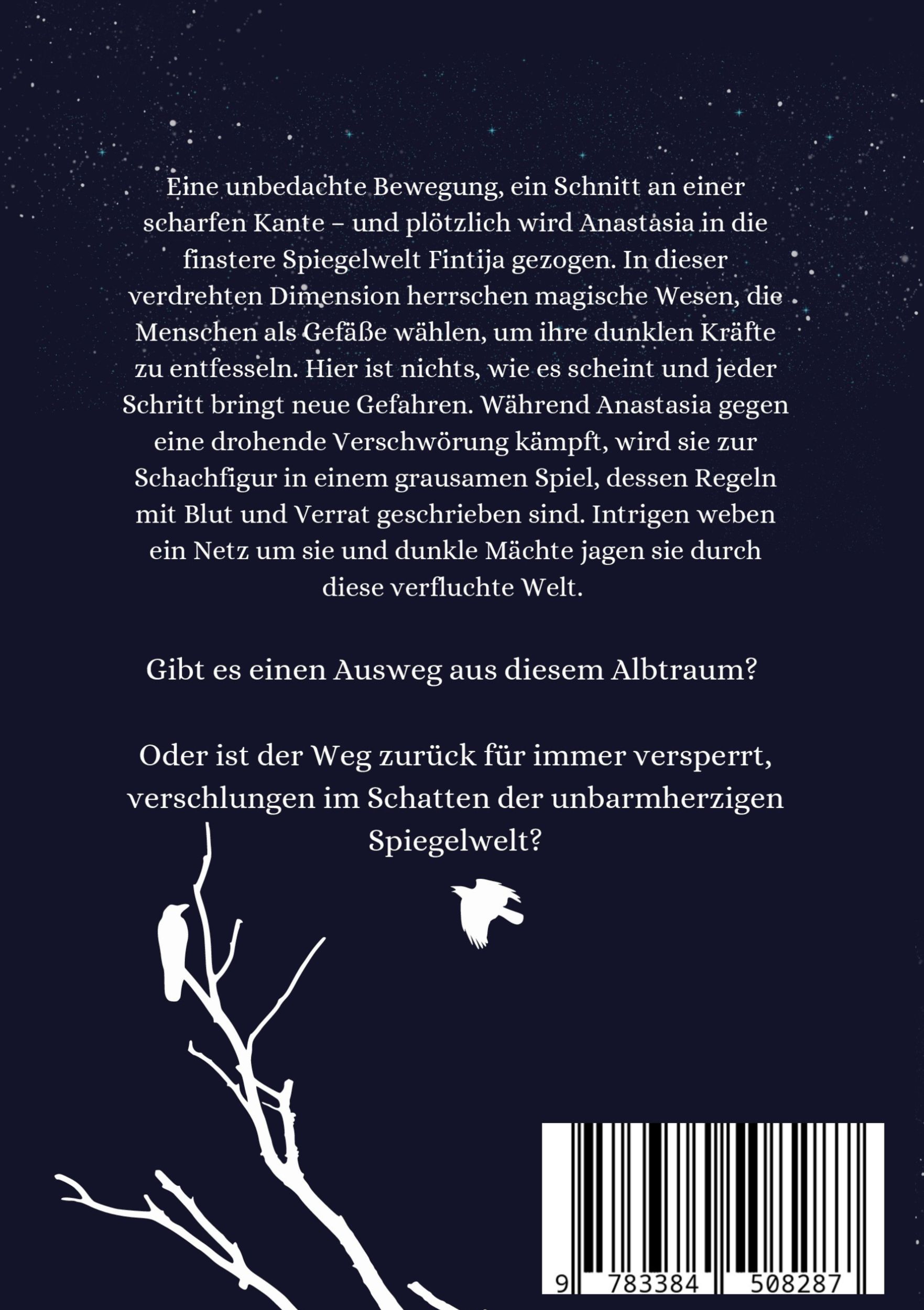 Rückseite: 9783384508287 | Fintija | Magic of the Mirror World | Nadine Igler | Taschenbuch