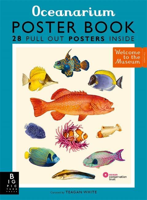 Cover: 9781800783652 | Oceanarium Poster Book | Loveday Trinick | Taschenbuch | Paperback