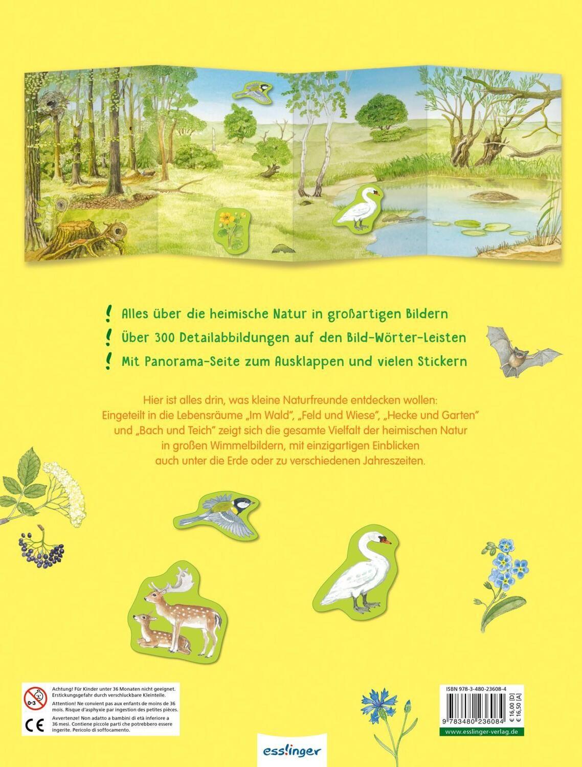 Rückseite: 9783480236084 | Mein großes Natur-Wimmelbuch | Buch | 76 S. | Deutsch | 2020