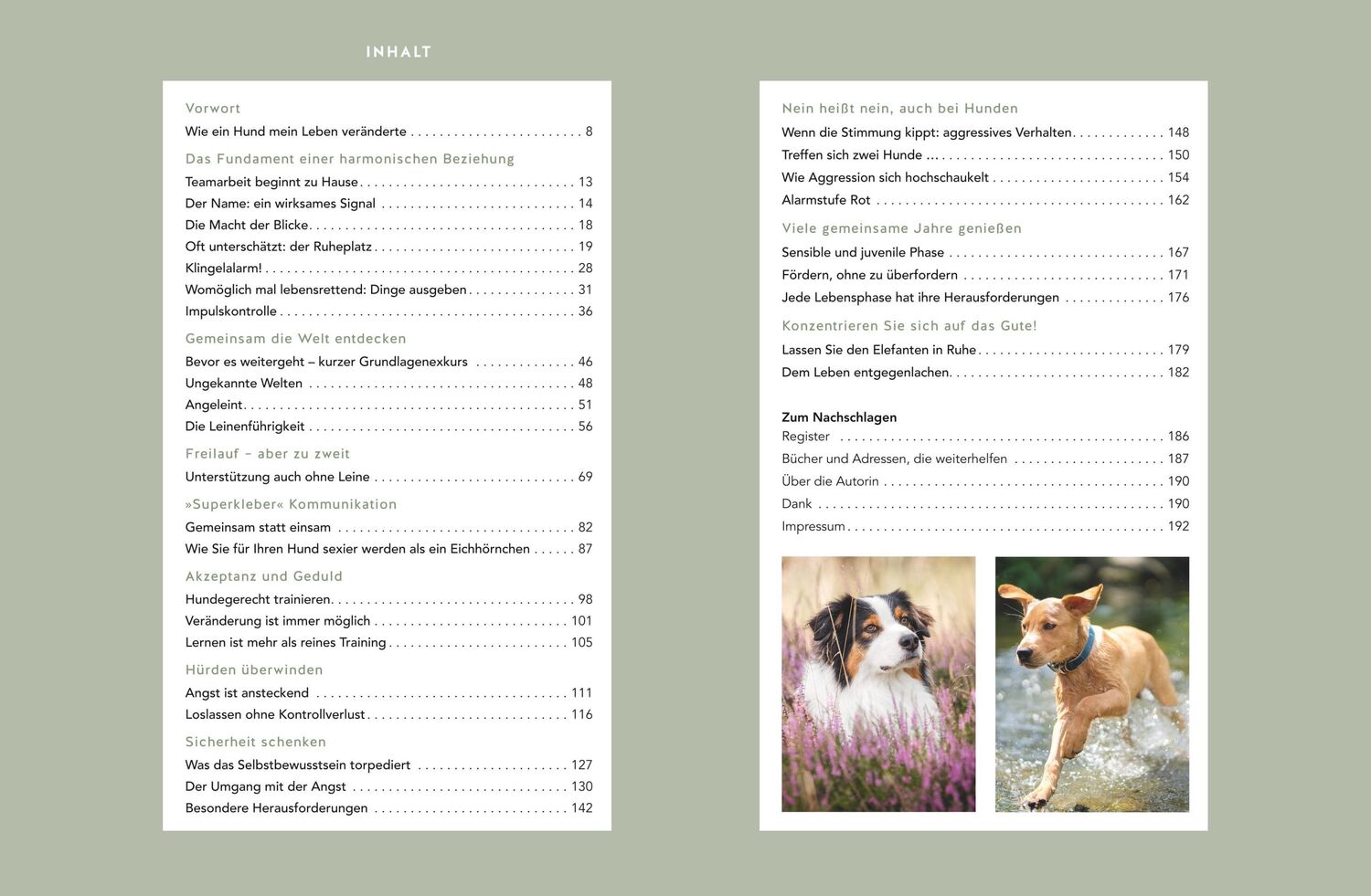 Bild: 9783833894695 | Mein Herz schlägt Hund | Katharina Marioth | Buch | 192 S. | Deutsch