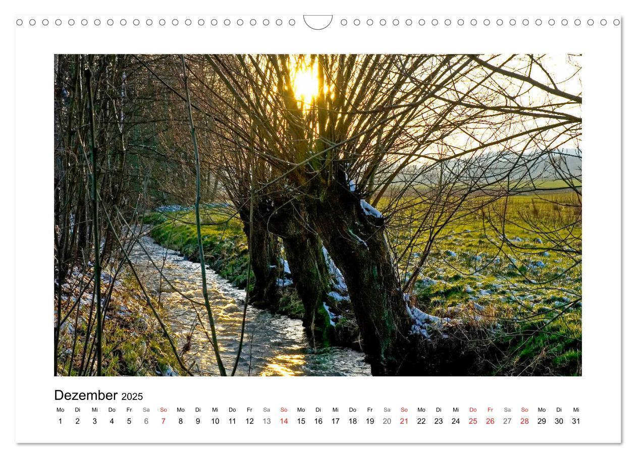 Bild: 9783435155606 | Impressionen aus Ostwestfalen-Lippe (Wandkalender 2025 DIN A3...