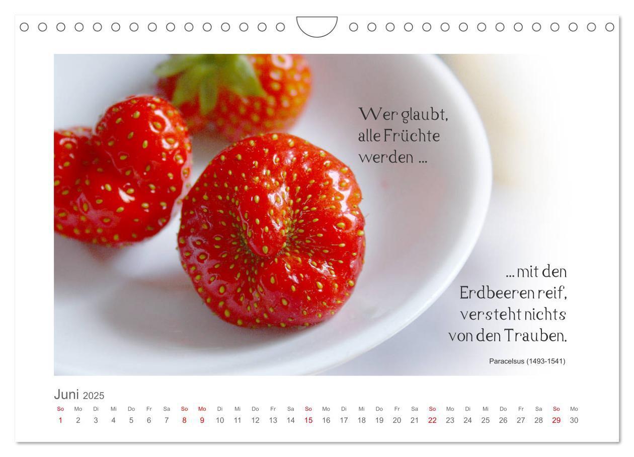 Bild: 9783435290369 | FunnyFood (Wandkalender 2025 DIN A4 quer), CALVENDO Monatskalender