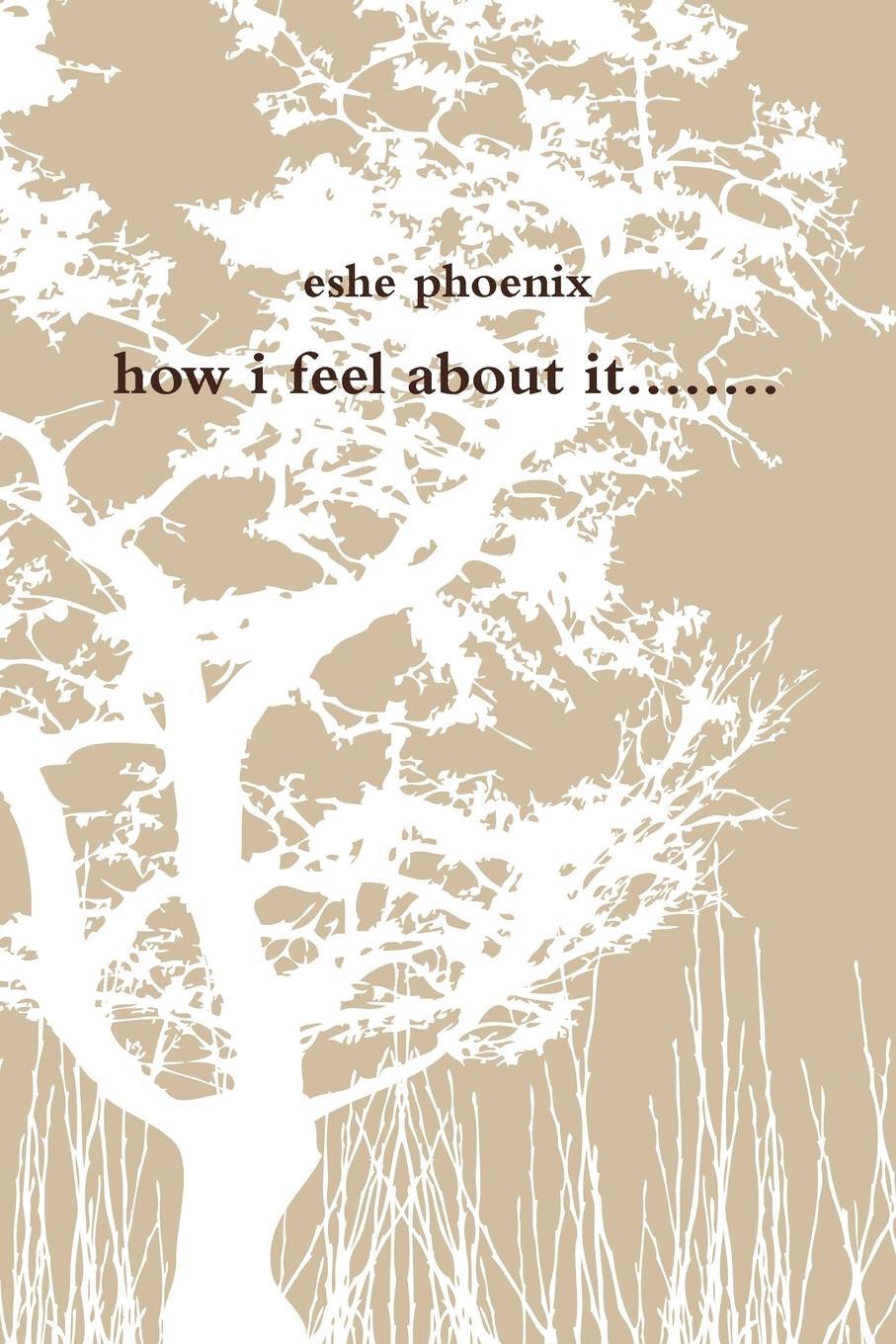 Cover: 9781105609206 | how i feel about it........ | Eshe Phoenix | Taschenbuch | Paperback
