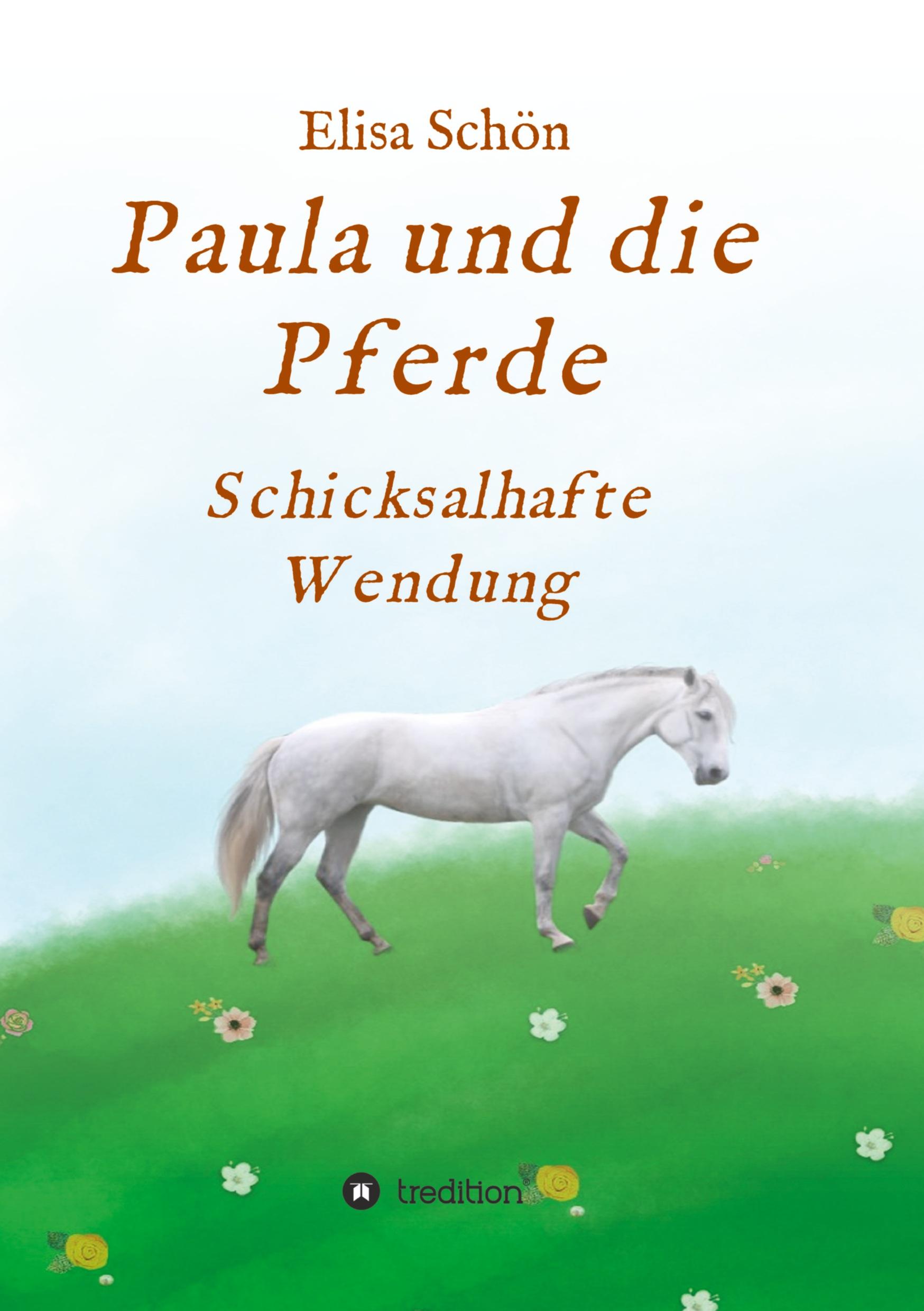 Cover: 9783749720170 | Paula und die Pferde | Schicksalhafte Wendung | Elisa Schön | Buch