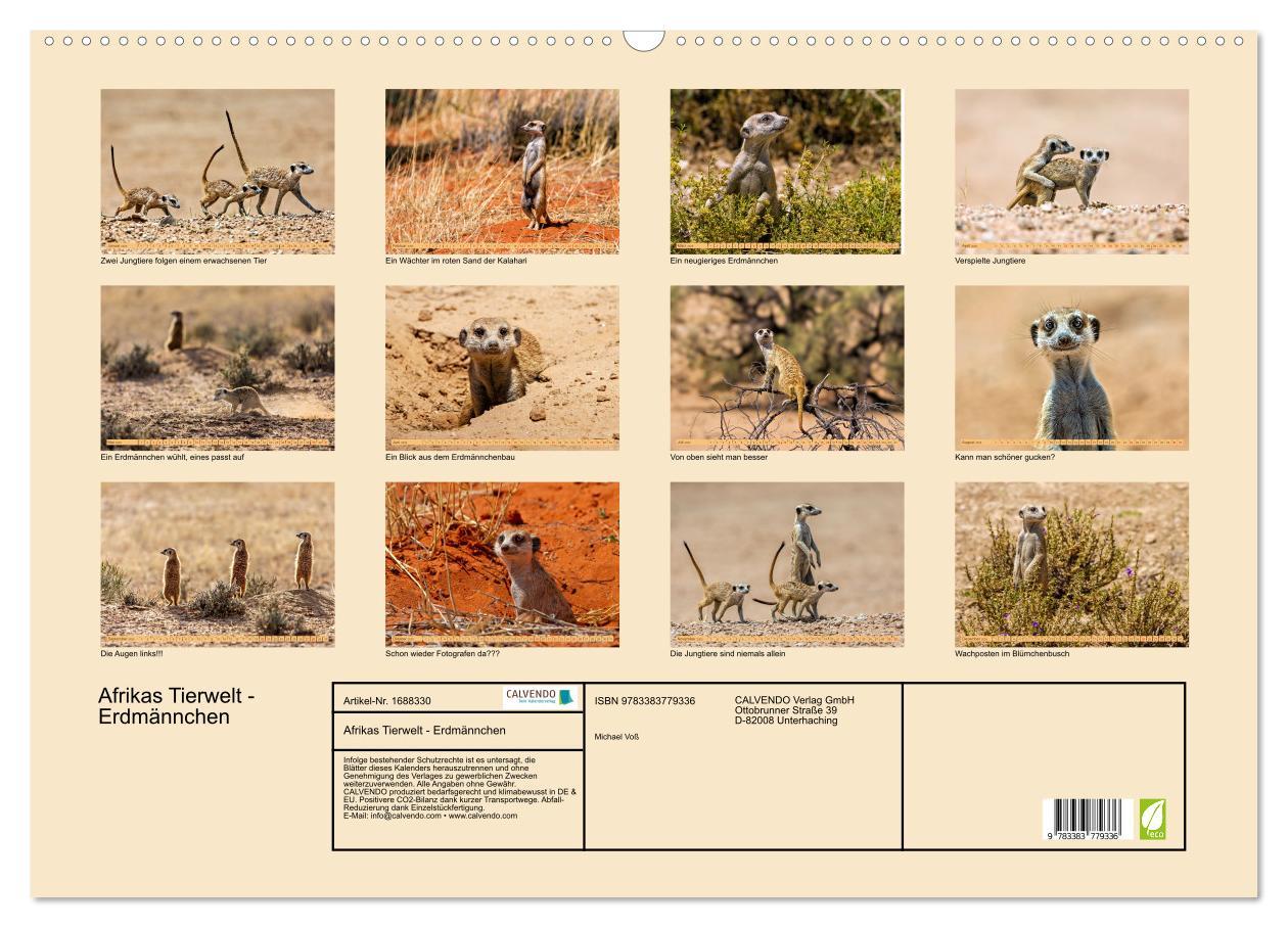 Bild: 9783383779336 | Afrikas Tierwelt - Erdmännchen (Wandkalender 2025 DIN A2 quer),...