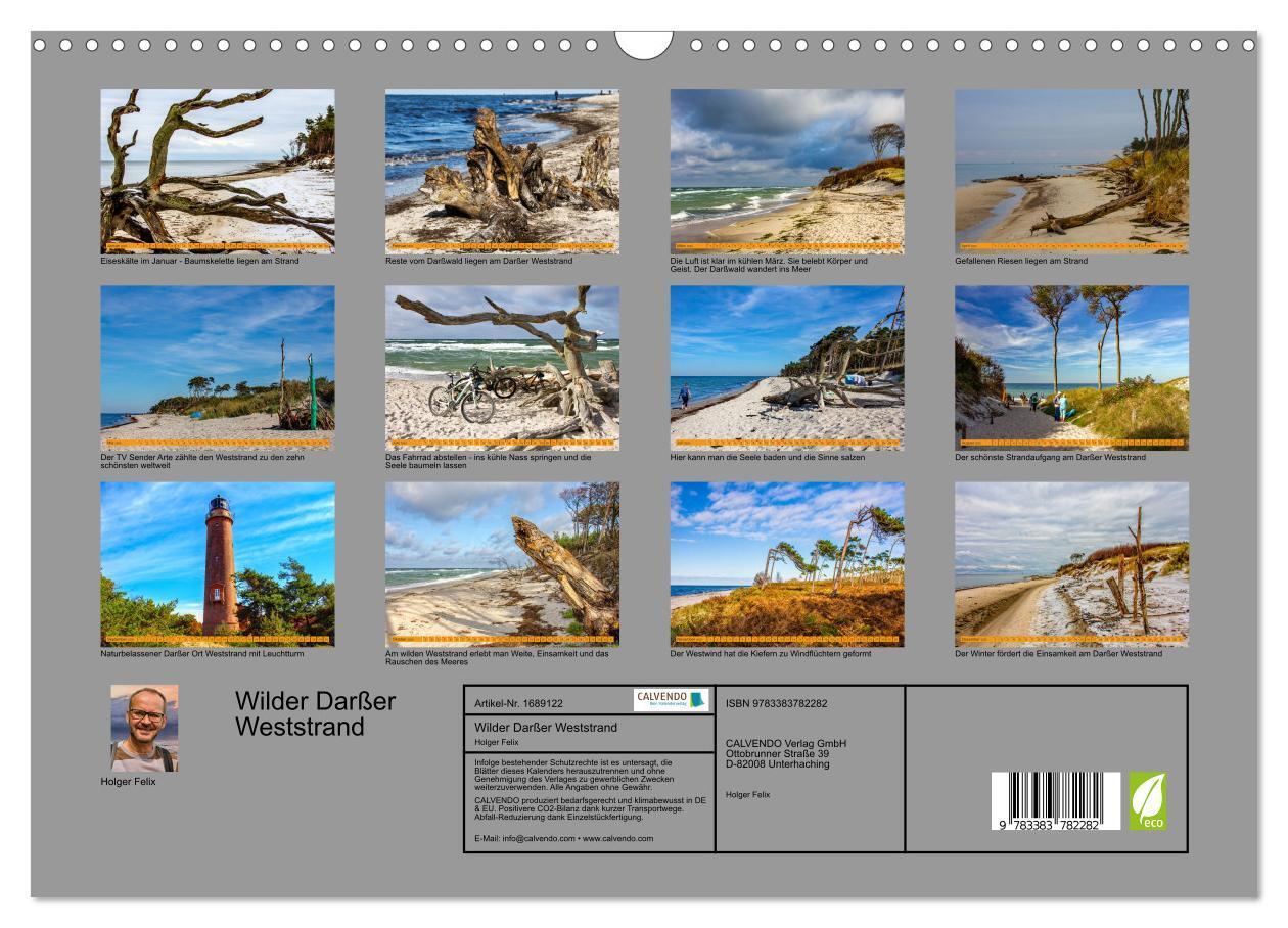 Bild: 9783383782282 | Wilder Darßer Weststrand (Wandkalender 2025 DIN A3 quer), CALVENDO...