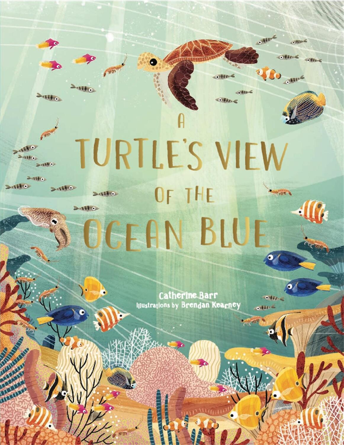 Cover: 9781786279095 | A Turtle's View of the Ocean Blue | Catherine Barr | Buch | 64 S.