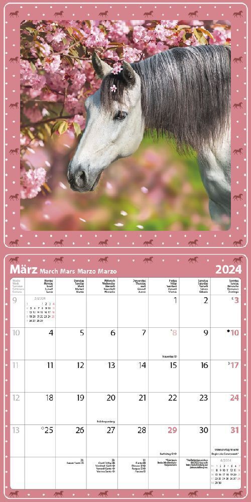 Bild: 9783731872108 | Pferdekalender 2024 | Korsch Verlag | Kalender | Englisch Broschur