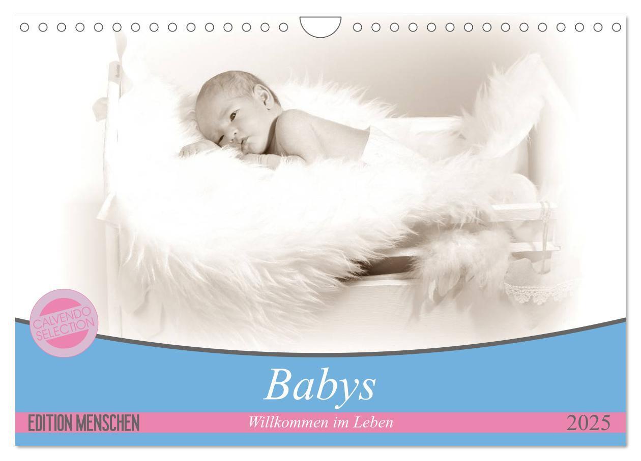 Cover: 9783435707362 | Babys - Willkommen im Leben (Wandkalender 2025 DIN A4 quer),...