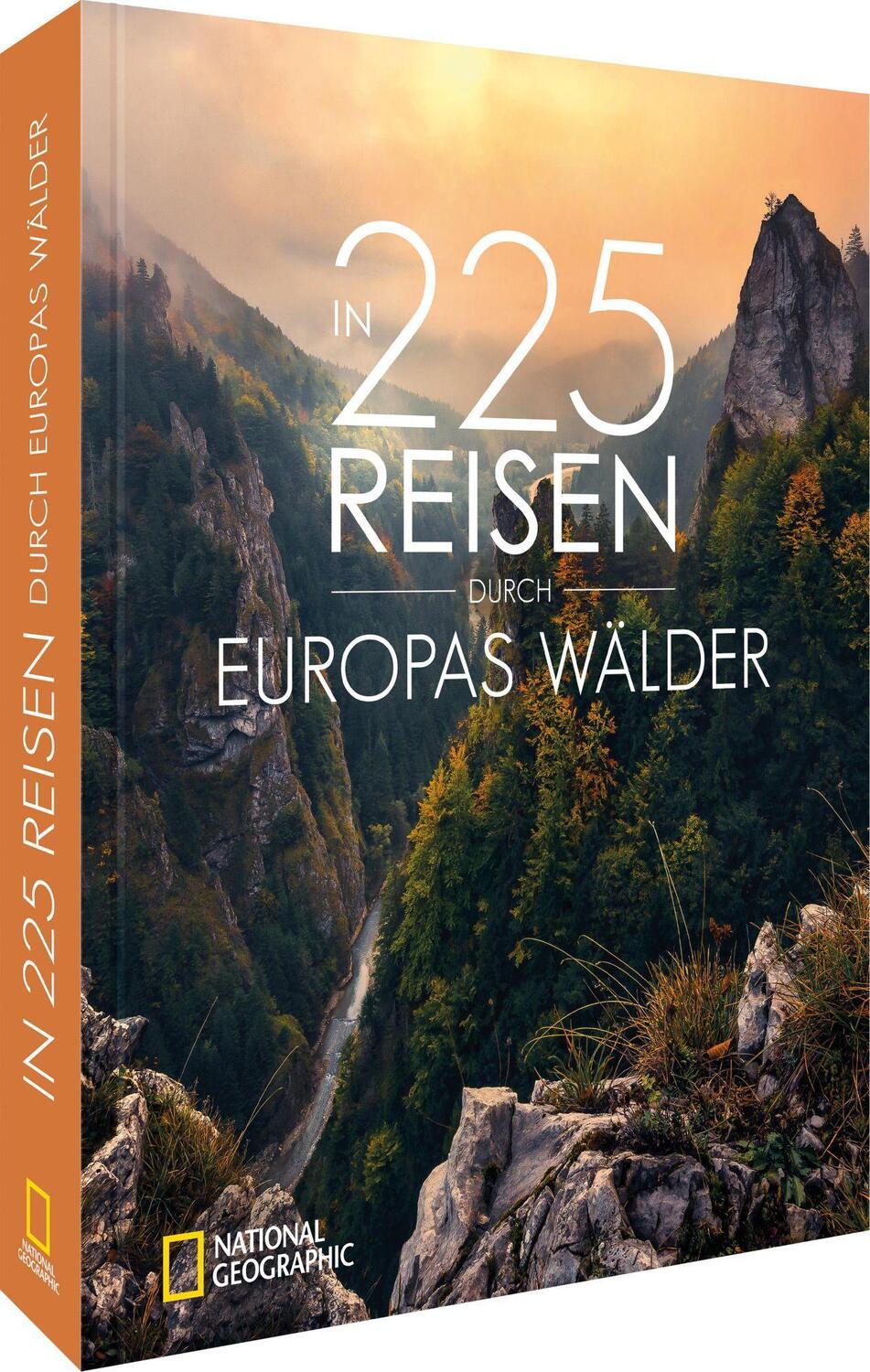 Cover: 9783866908260 | In 225 Reisen durch Europas Wälder | Jörg Berghoff (u. a.) | Buch