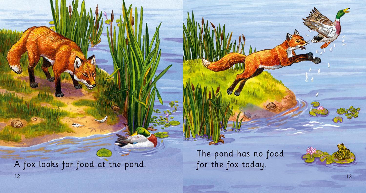 Bild: 9780007422012 | Pond Food | Band 02b/Red B | John Townsend | Taschenbuch | Englisch