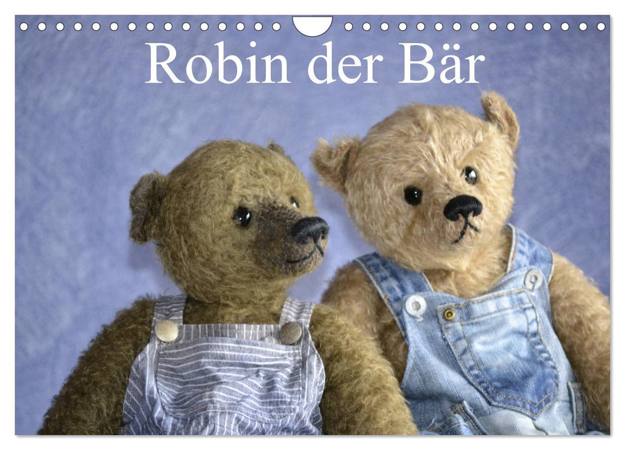 Cover: 9783383233029 | Robin der Bär (Wandkalender 2024 DIN A4 quer), CALVENDO Monatskalender