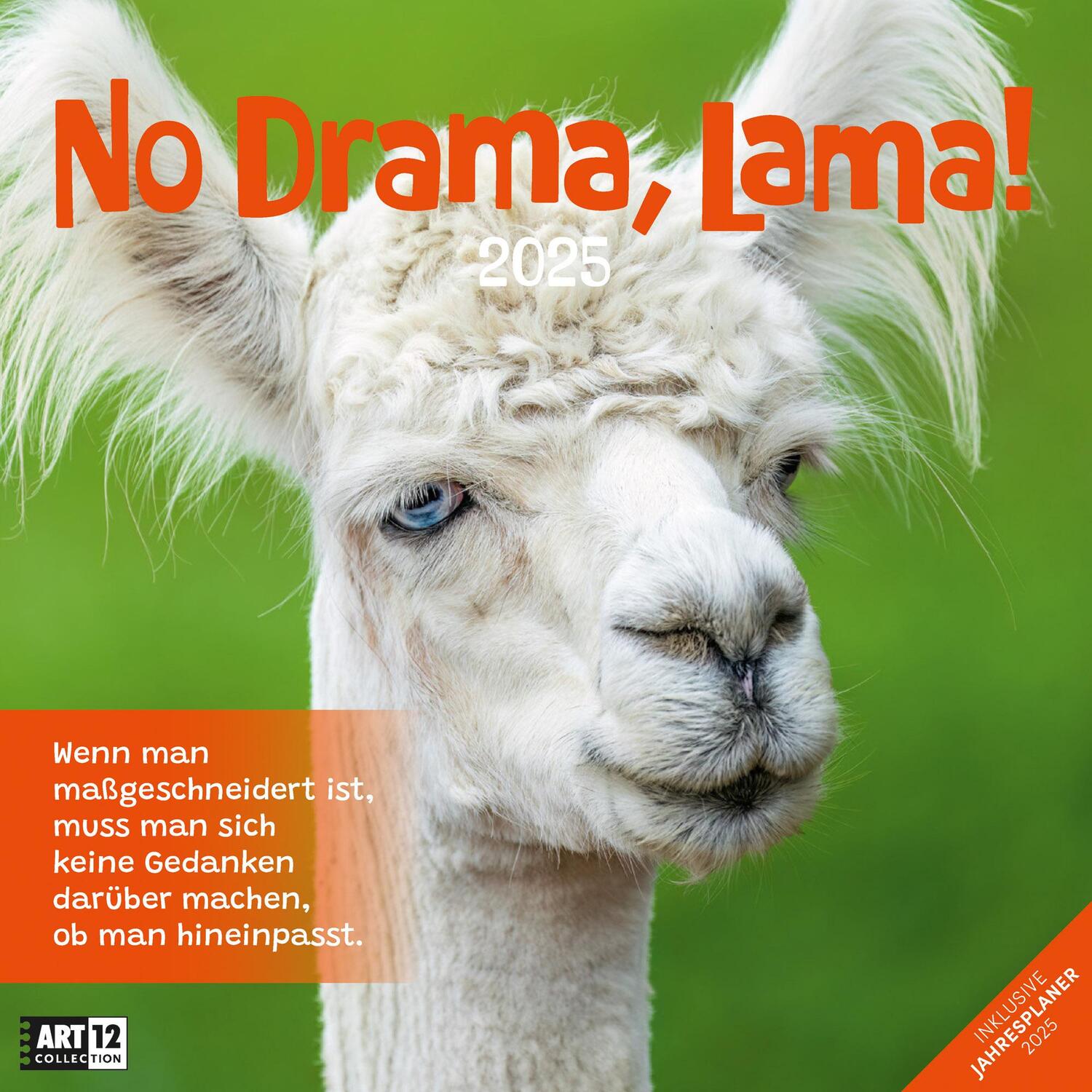 Cover: 9783838445274 | No Drama, Lama! Kalender 2025 - 30x30 | Ackermann Kunstverlag | 28 S.