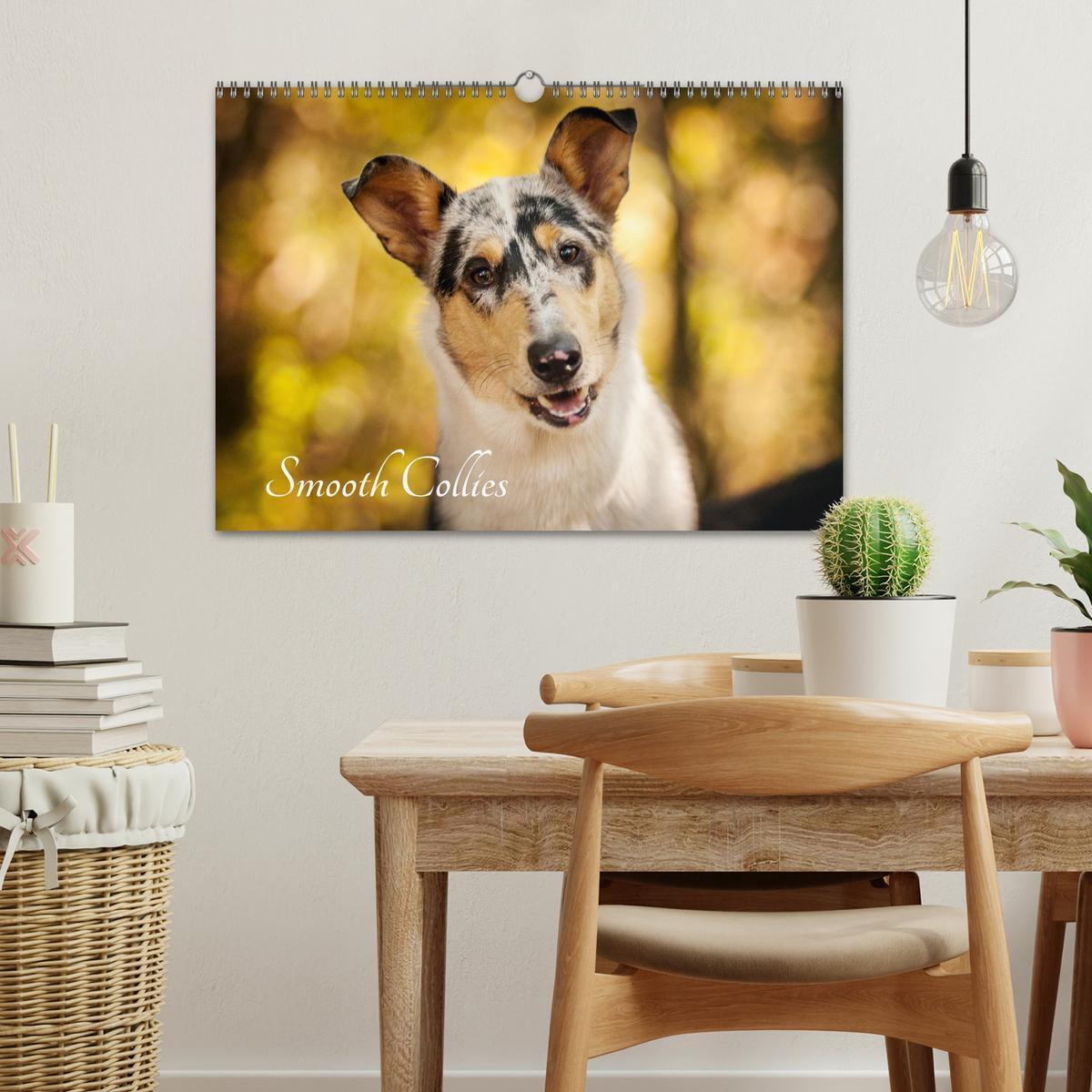 Bild: 9783435580859 | Smooth Collies (Wandkalender 2025 DIN A3 quer), CALVENDO...