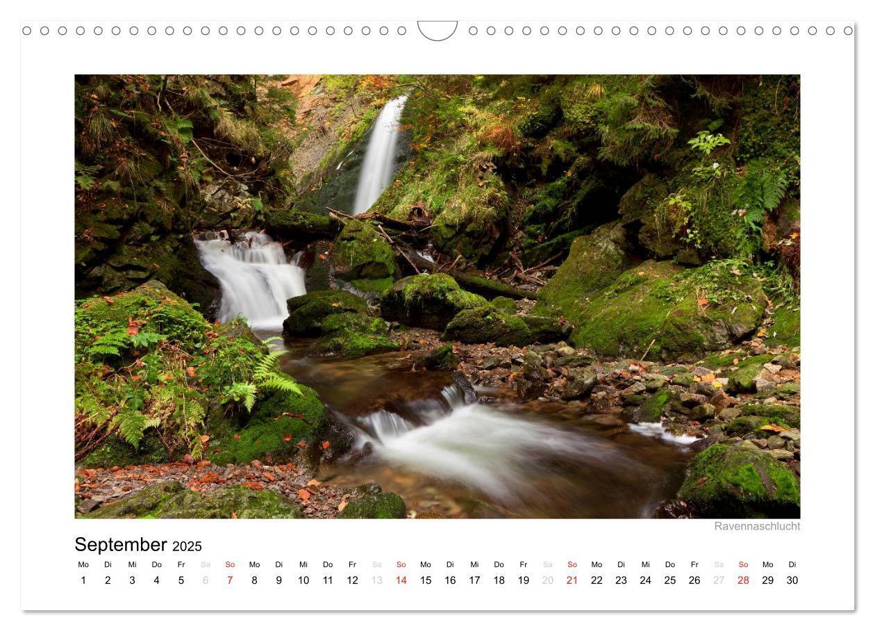 Bild: 9783435817924 | Schwarzwald 2025 (Wandkalender 2025 DIN A3 quer), CALVENDO...