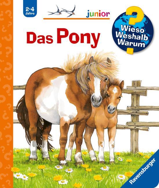 Cover: 9783473327737 | Wieso? Weshalb? Warum? junior, Band 20: Das Pony | Thea Ross | Buch