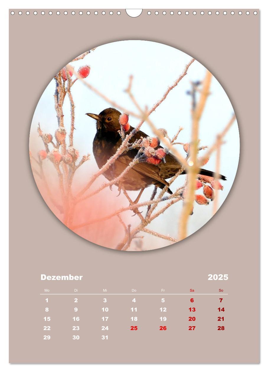 Bild: 9783435897186 | Rundherum Natur (Wandkalender 2025 DIN A3 hoch), CALVENDO...