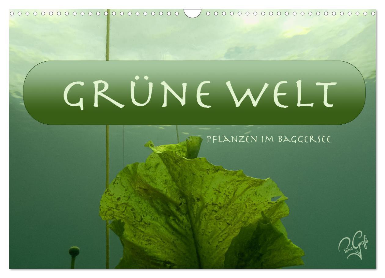 Cover: 9783435084821 | Baggersee - die grüne Welt (Wandkalender 2025 DIN A3 quer),...