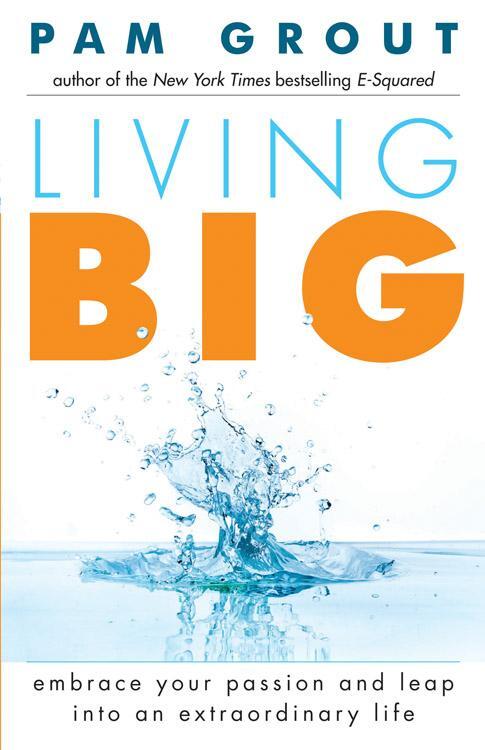 Cover: 9781573246521 | Living Big | Pam Grout | Taschenbuch | Paperback | Englisch | 2014