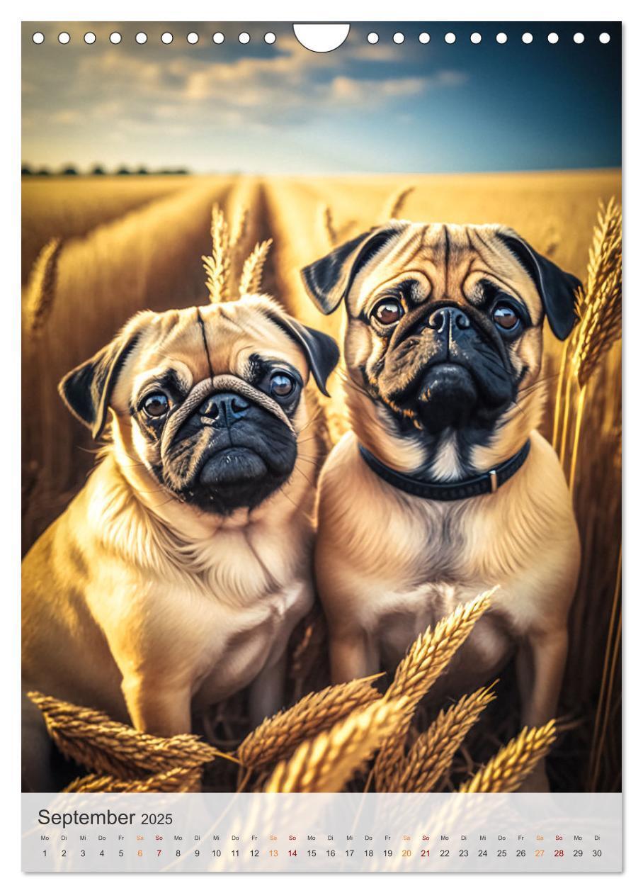 Bild: 9783435871391 | Mein Mops-Kalender (Wandkalender 2025 DIN A4 hoch), CALVENDO...