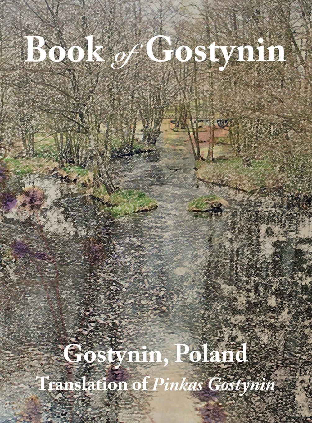 Cover: 9781939561541 | Book of Gostynin, Poland | Translation of Pinkas Gostynin | Biderman