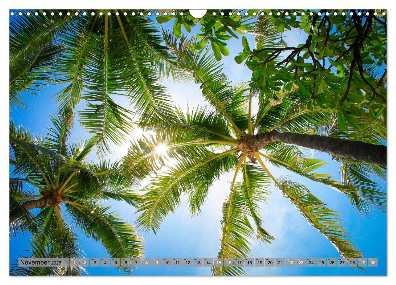 Bild: 9783435367474 | Kauai - Einmal Paradies und zurück (Wandkalender 2025 DIN A3 quer),...