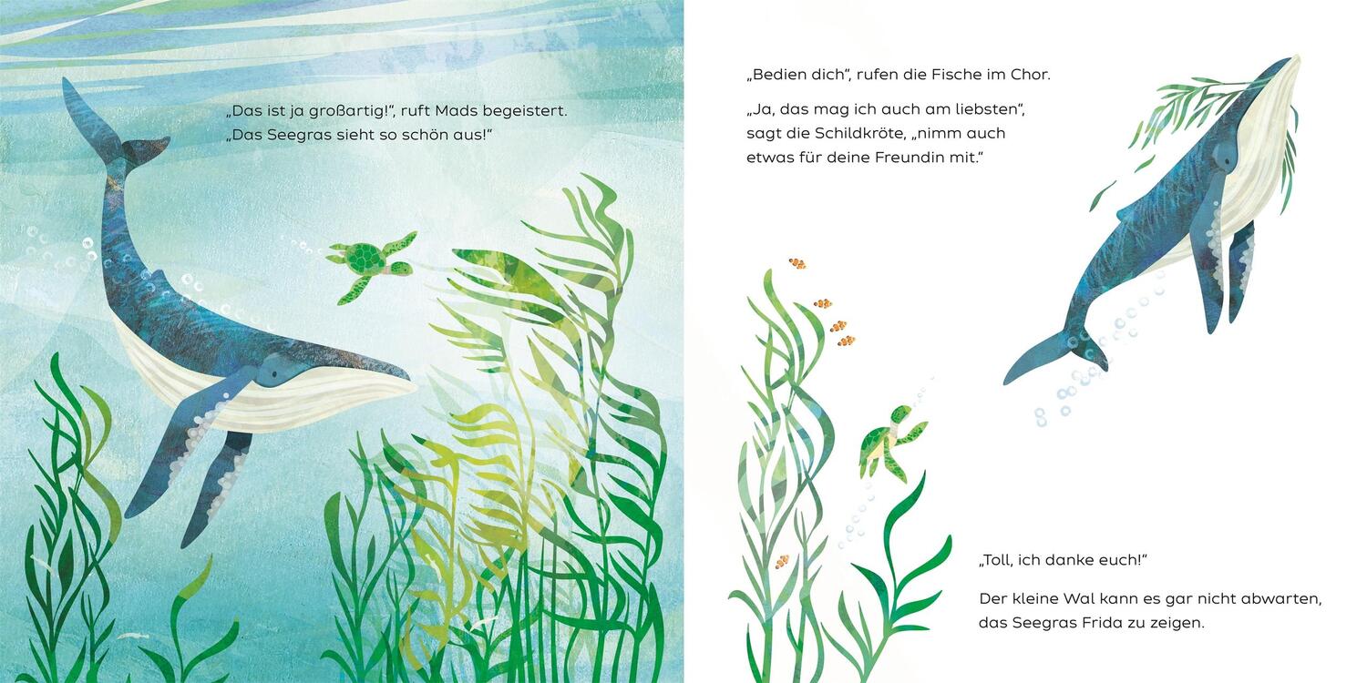 Bild: 9783831047000 | Der kleine Wal und das große Meer | DK Verlag - Kids | Buch | 32 S.