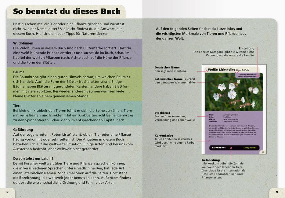 Bild: 9783473554690 | Taschenlexikon der Natur | Johanna Prinz | Taschenbuch | 512 S. | 2020