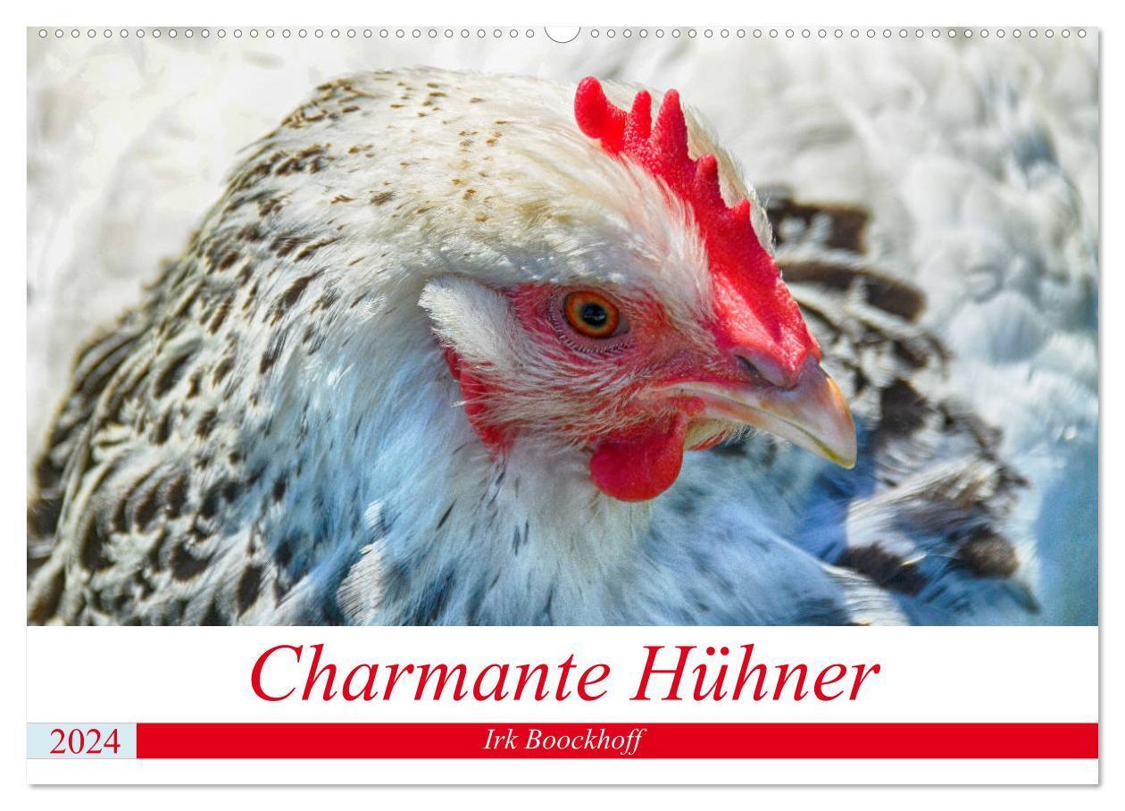 Cover: 9783383109065 | Charmante Hühner (Wandkalender 2024 DIN A2 quer), CALVENDO...