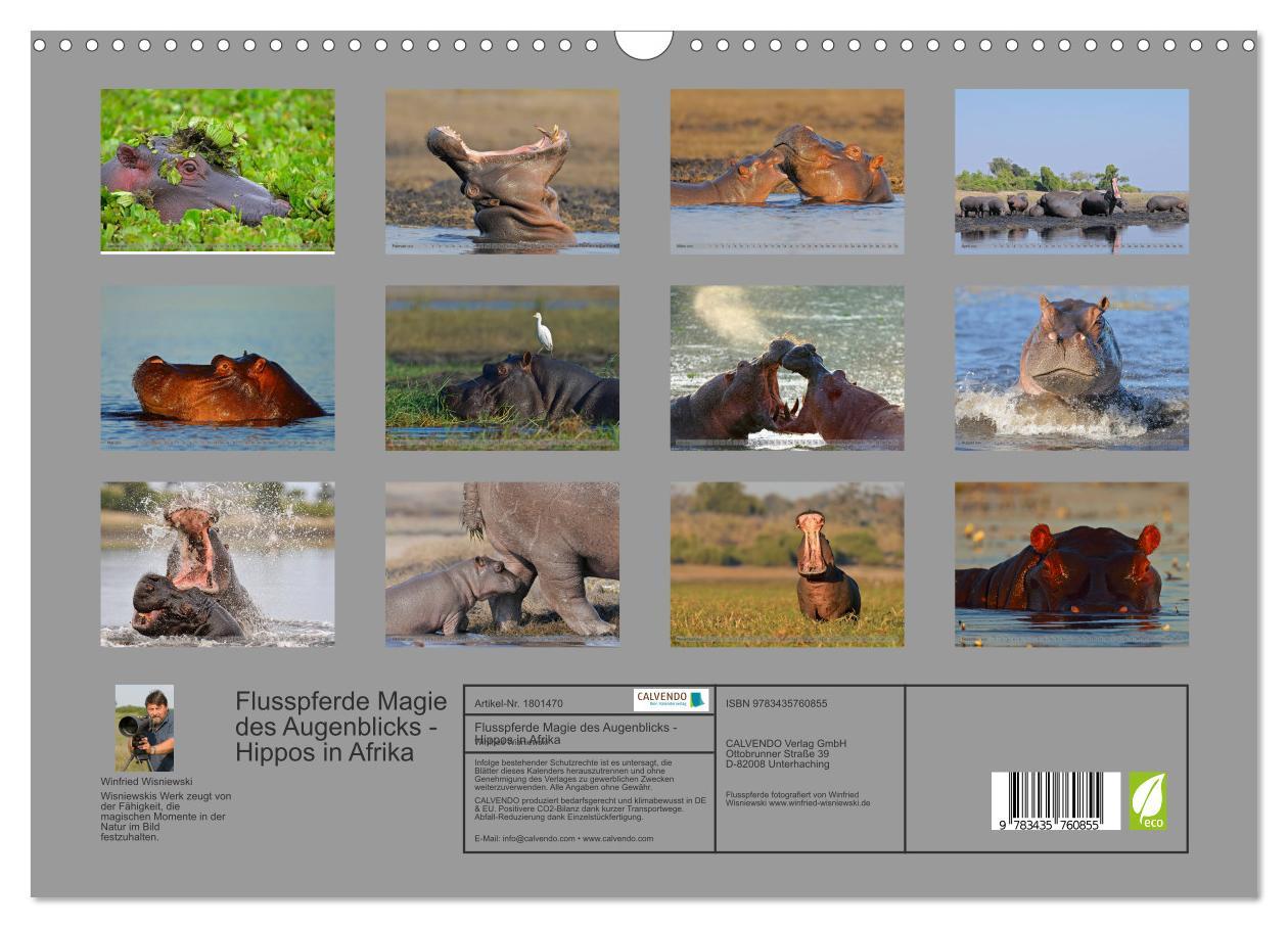 Bild: 9783435760855 | Flusspferde Magie des Augenblicks - Hippos in Afrika (Wandkalender...